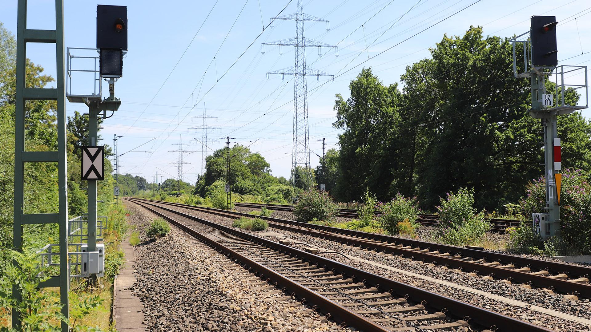 Blick auf eine gesperrte Bahnstrecke. (Quelle: picture alliance/dpa/Sascha Thelen) | picture alliance/dpa/Sascha Thelen