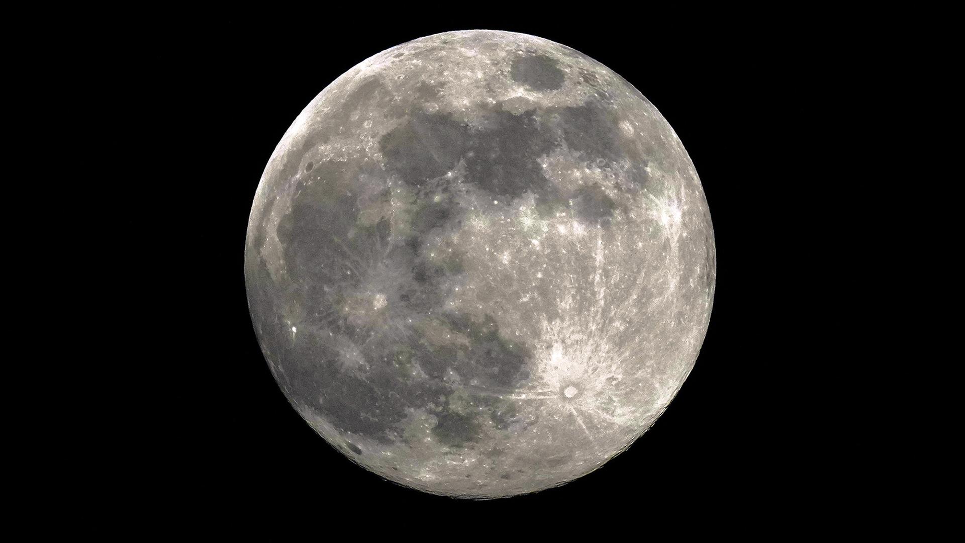  Ein Supermond steht am Himmel | dpa