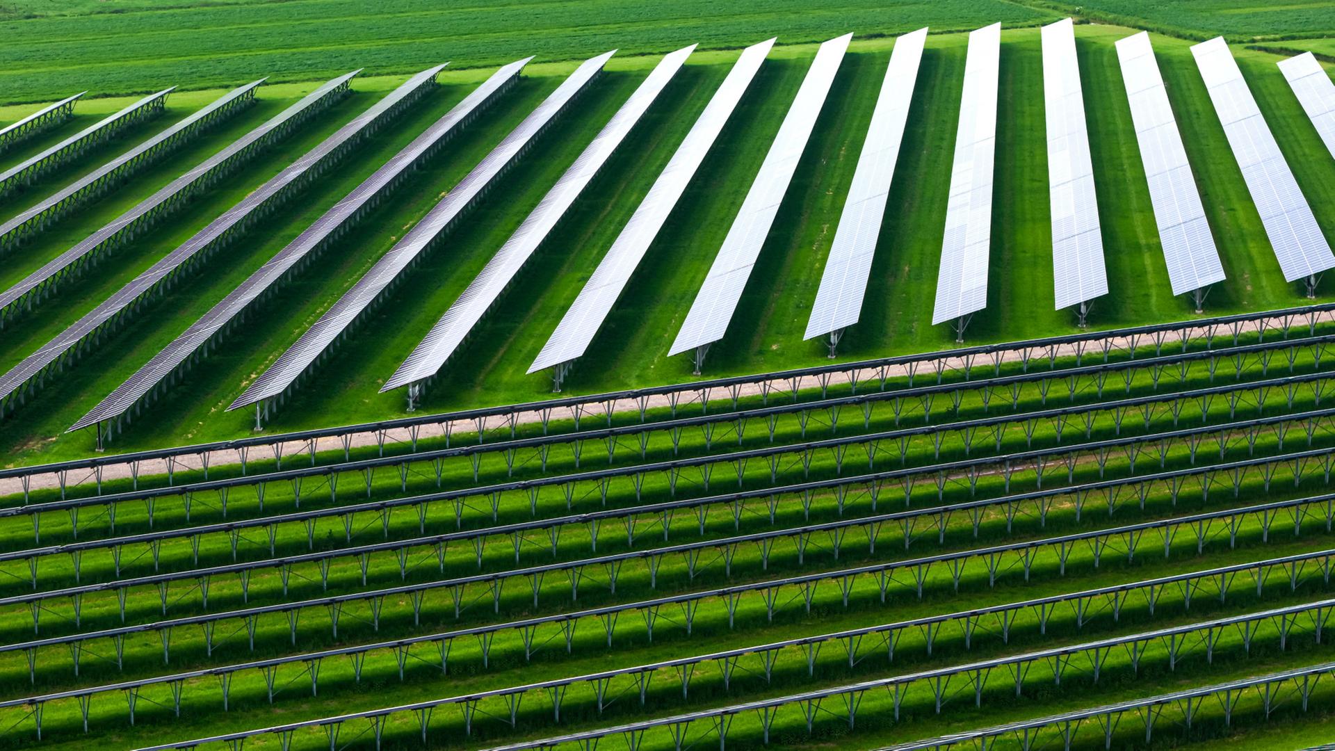 Photovoltaikanlagen stehen in Reihen auf einem Feld. | Sina Schuldt/dpa