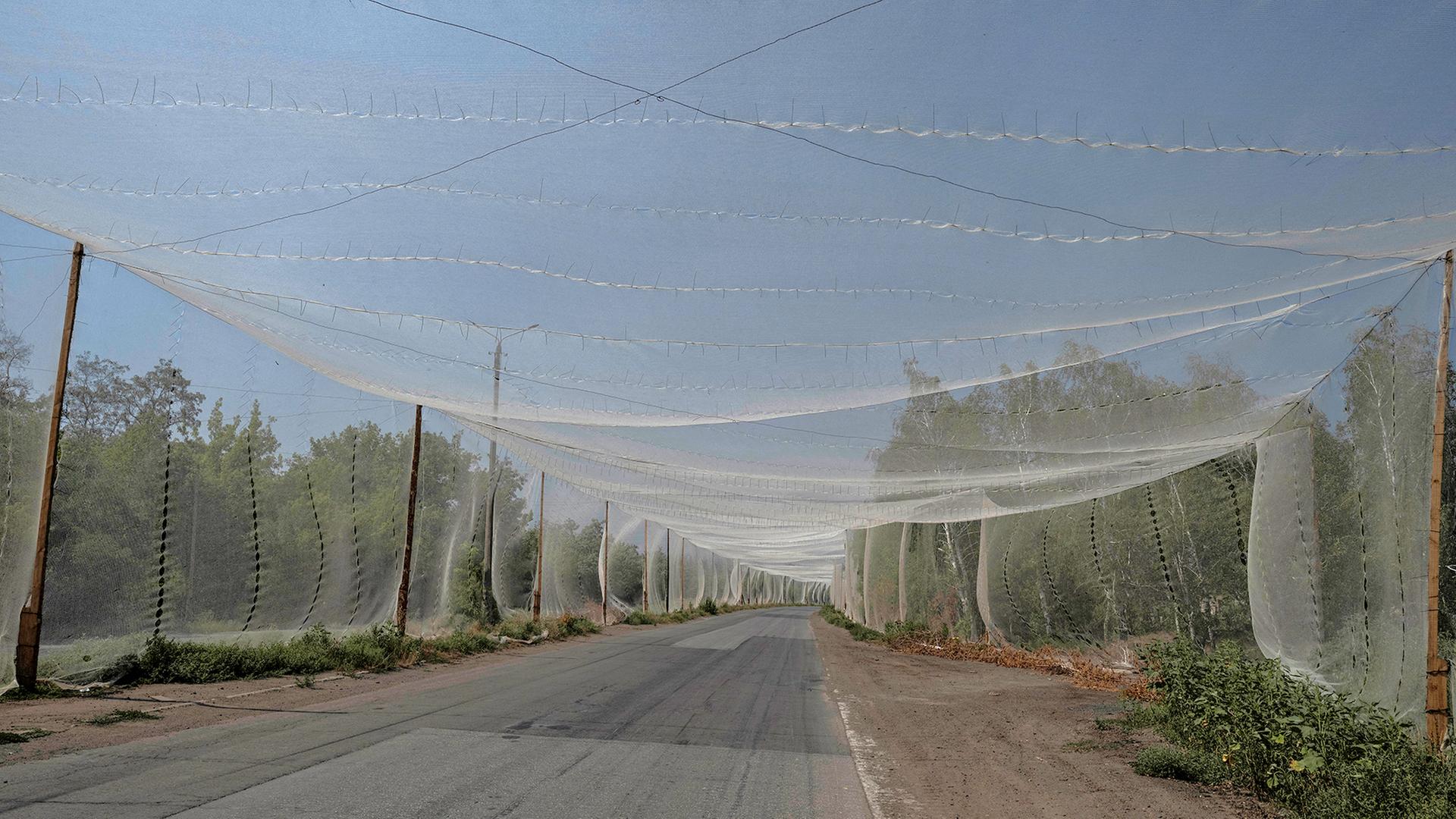 Blick auf eine mit Drohnenschutznetzen geschützte Straße in der Region Donezk (Ukraine). | via REUTERS