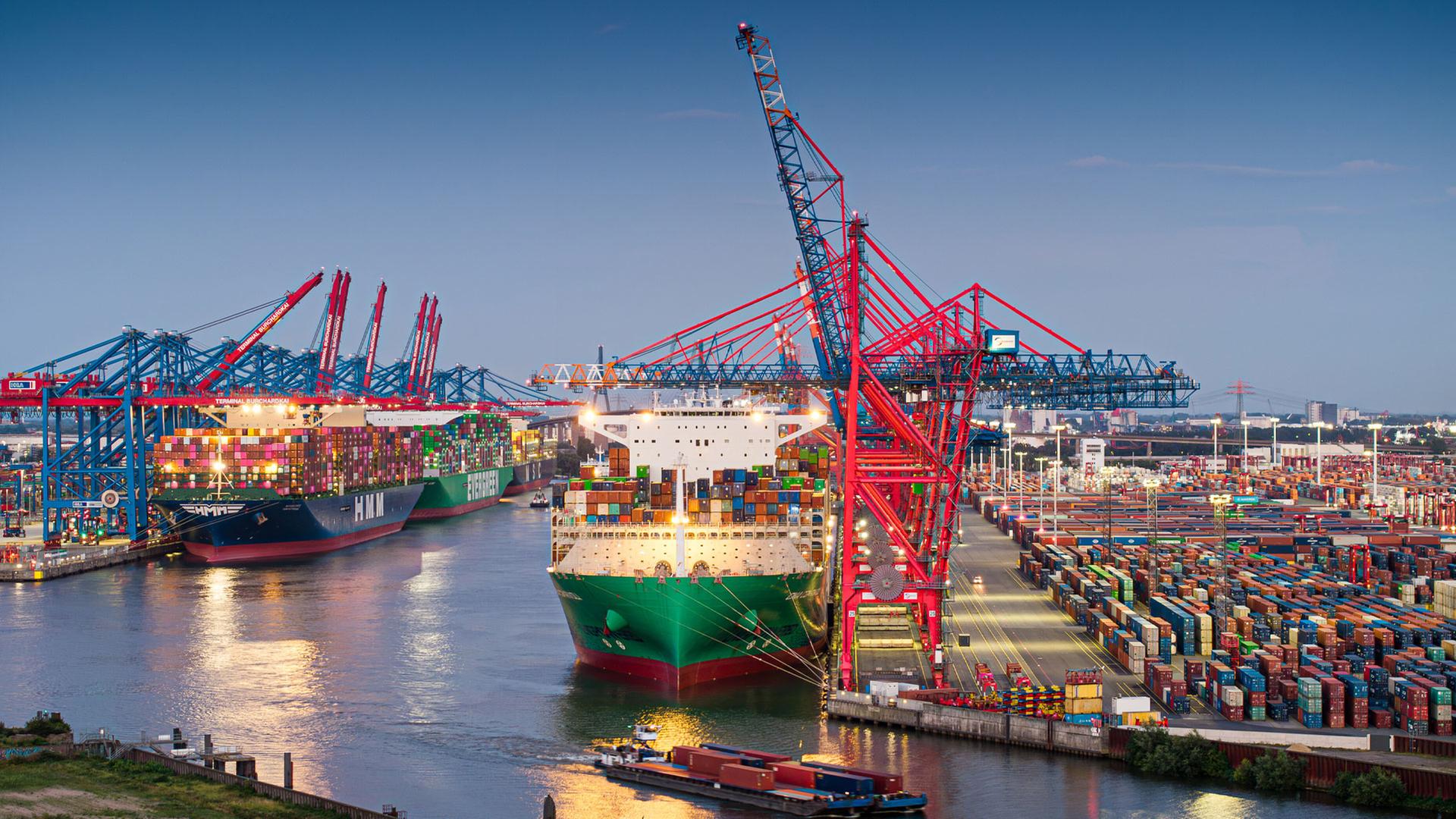 Containerschiffe am Terminal Burchardkai, Hafen Hamburg. | picture alliance/dpa