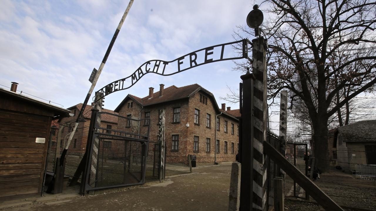 Umfrage: Viele junge Menschen wissen wenig über Holocaust