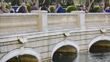 Gelbschnabeltaucher im See des Bellagio-Hotels