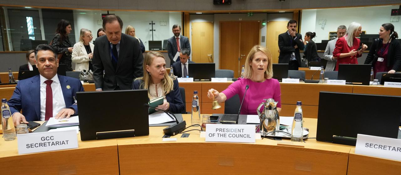 Teilnehmer der Videokonferenz de EU mit den Golfstaaten