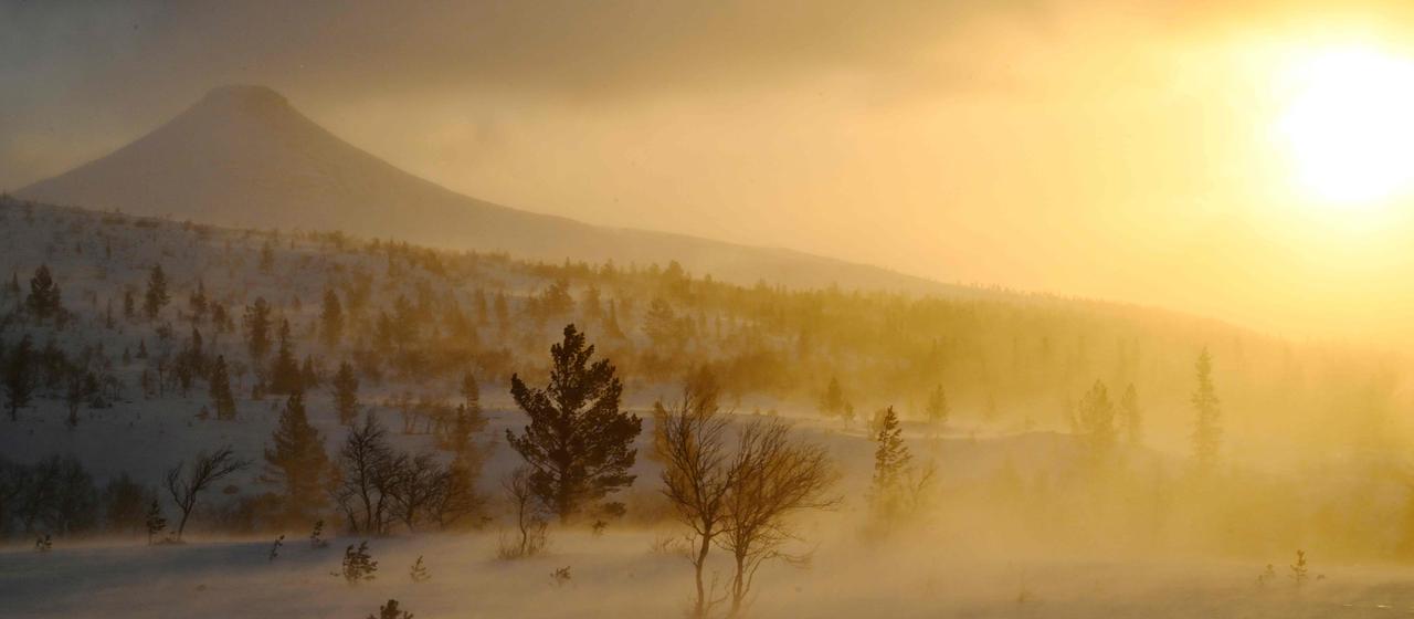 Starker Wind bläst Schnee durch die Landschaft in der Nähe des schwedischen Wintersportorts Idre