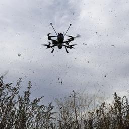 Eine ukrainische Abfangdrohne fliegt in der Region Saporischschja.