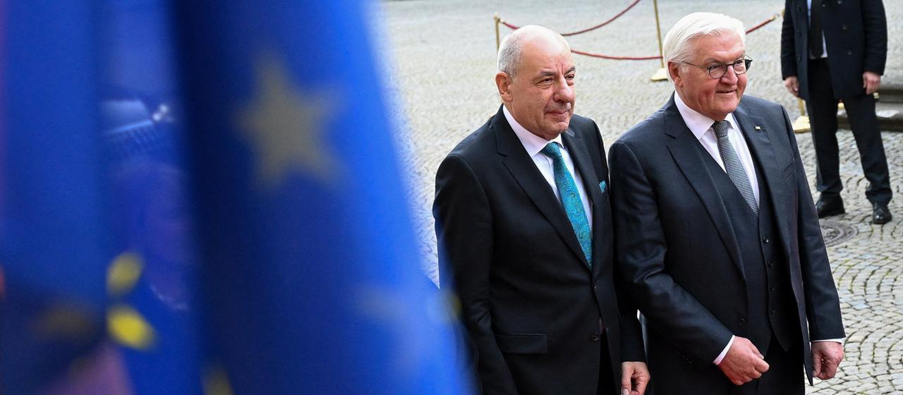 Tamas Sulyok and Frank-Walter Steinmeier