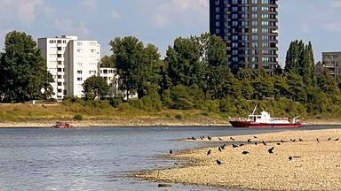 Ein weiß-rotes Schiff der Wasserschutzpolizei steht im Rhein vor einem steilen, begrünten Ufer, links davon fährt ein kleines, rotes Rettungsboot.