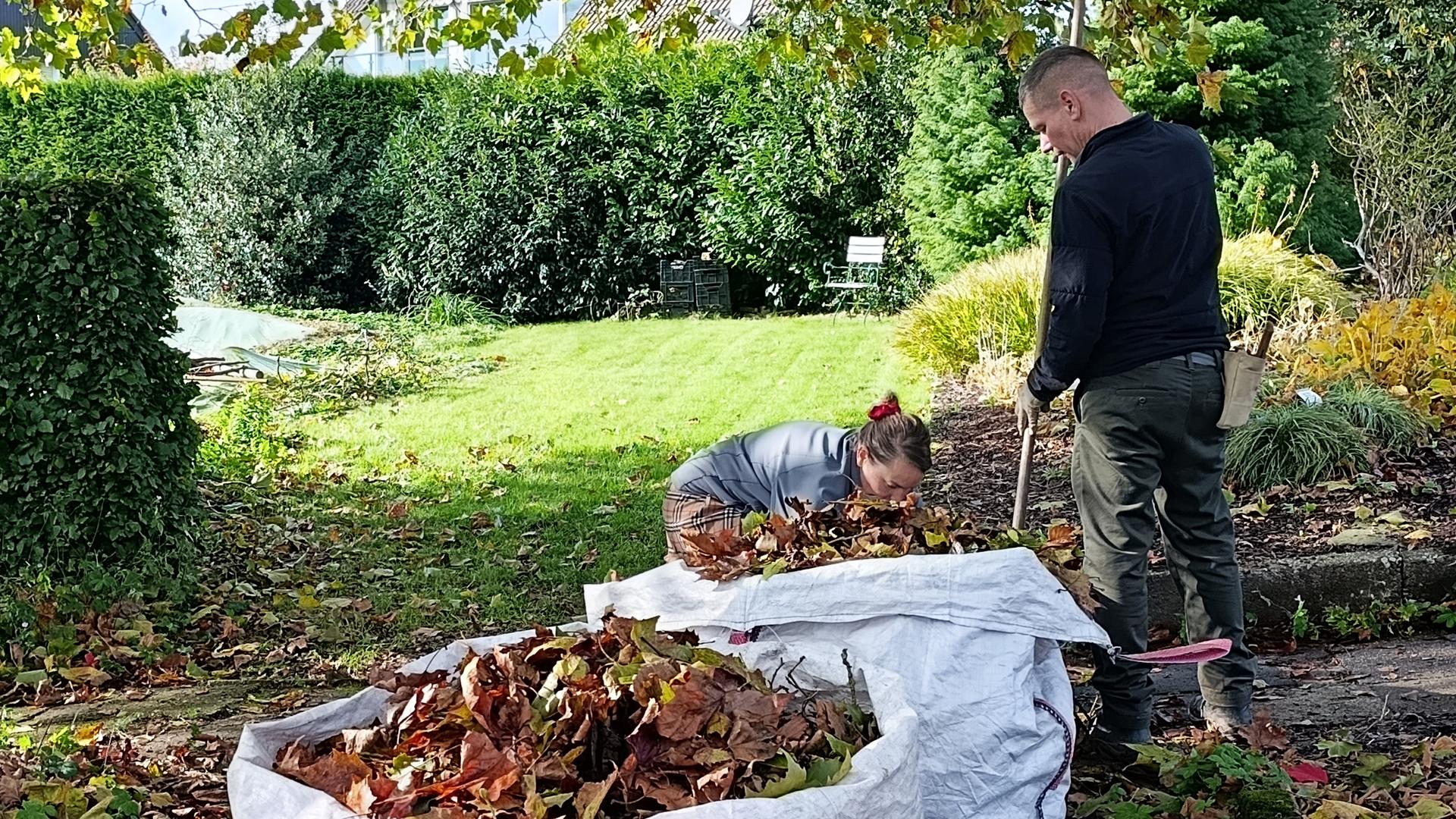 Laub harken im Herbst: Was muss man und was kann man lassen?