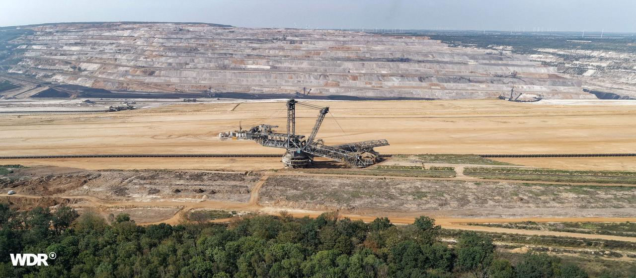 Zu sehen ist der Hambacher Forst. Dahinter steht ein Braunkohlebagger im Tagebau Hambach. 