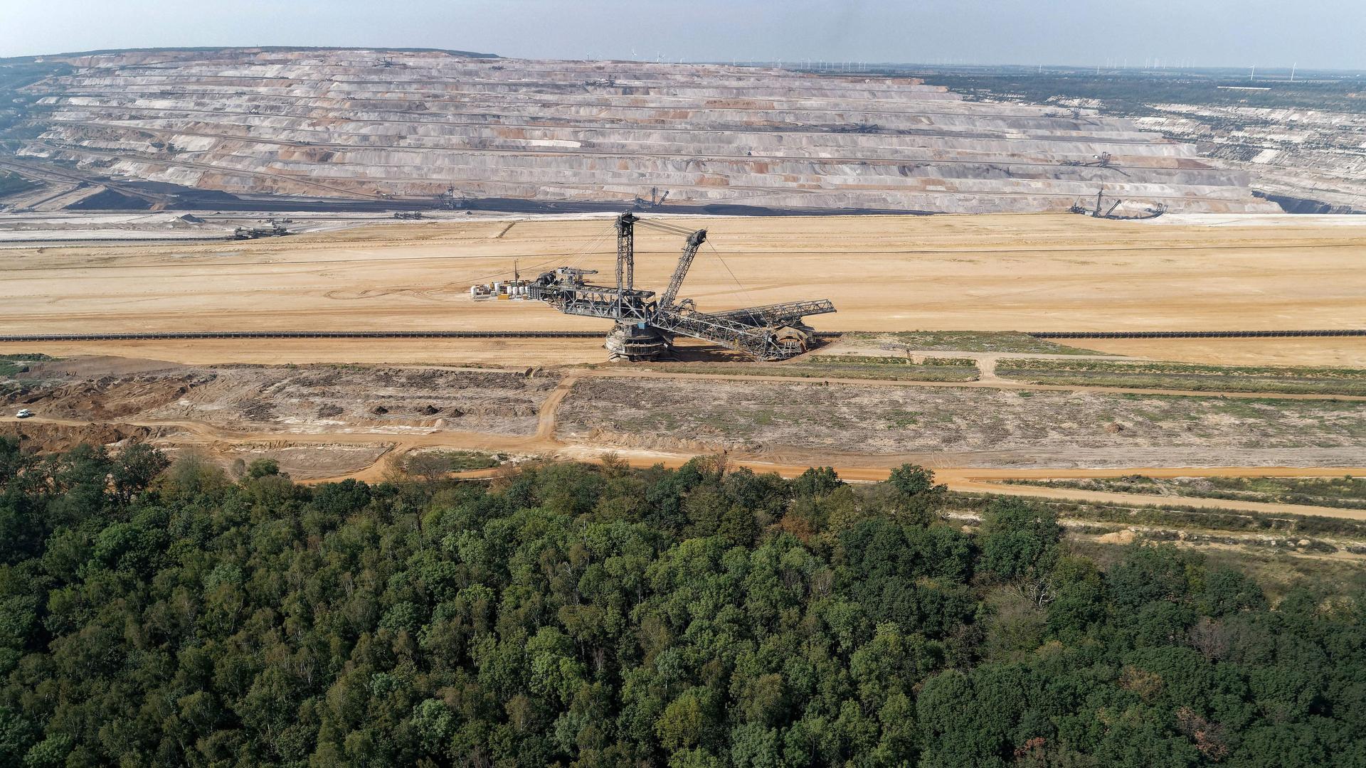 Zu sehen ist der Hambacher Forst. Dahinter steht ein Braunkohlebagger im Tagebau Hambach.  | WDR / picture alliance/dpa