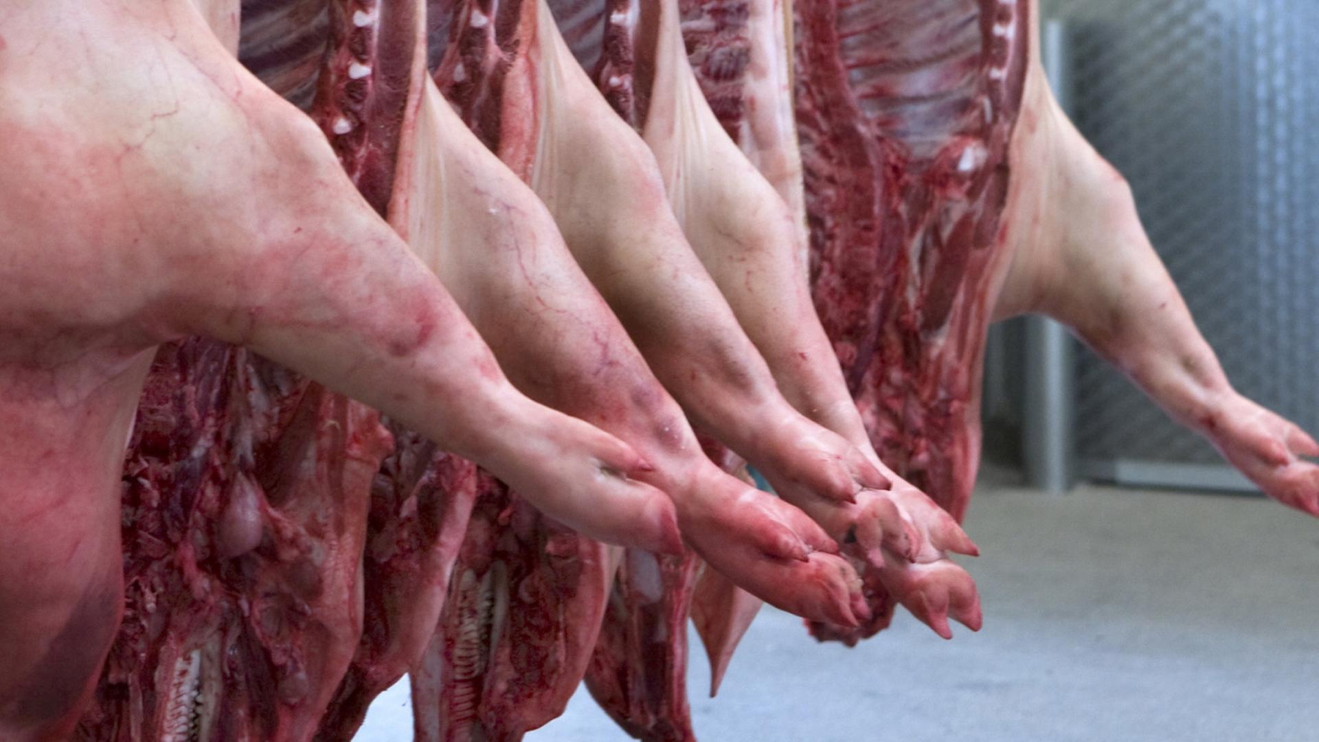 Schweinehälften in einem Schlachthof | dpa