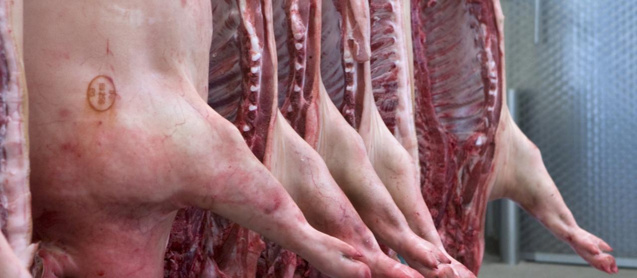 Schweinehälften in einem Schlachthof