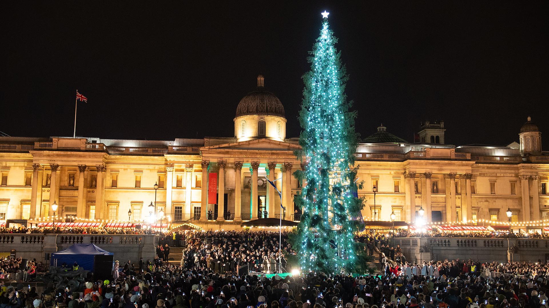 Der Weihnachtsbaum auf dem Trafalgar Square im Zentrum Londons ist hell erleuchtet.  | dpa