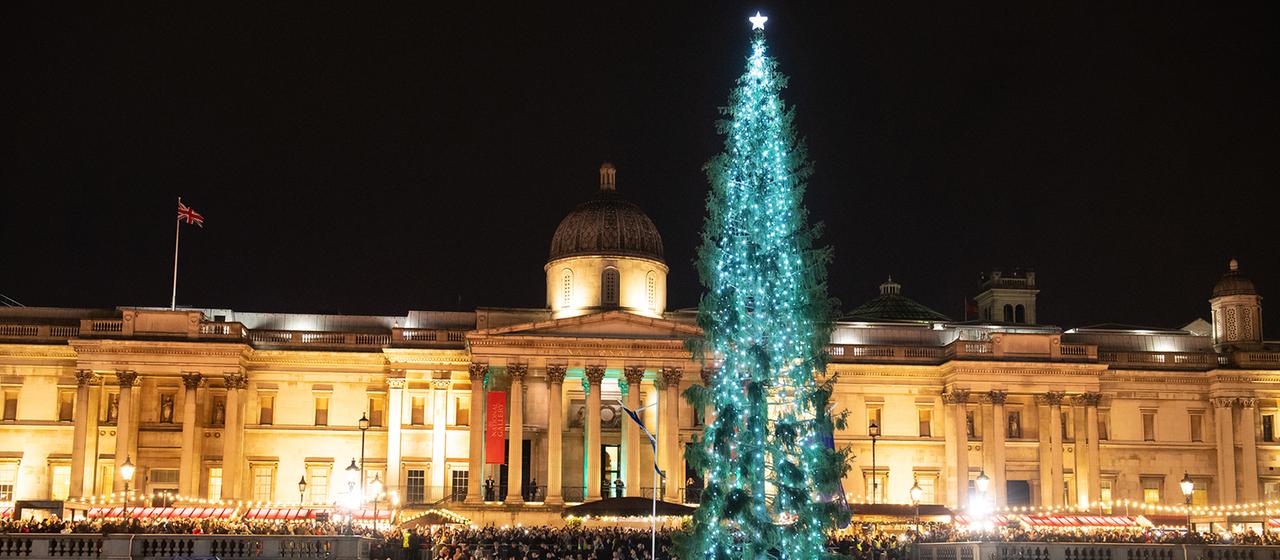 Der Weihnachtsbaum auf dem Trafalgar Square im Zentrum Londons ist hell erleuchtet. 