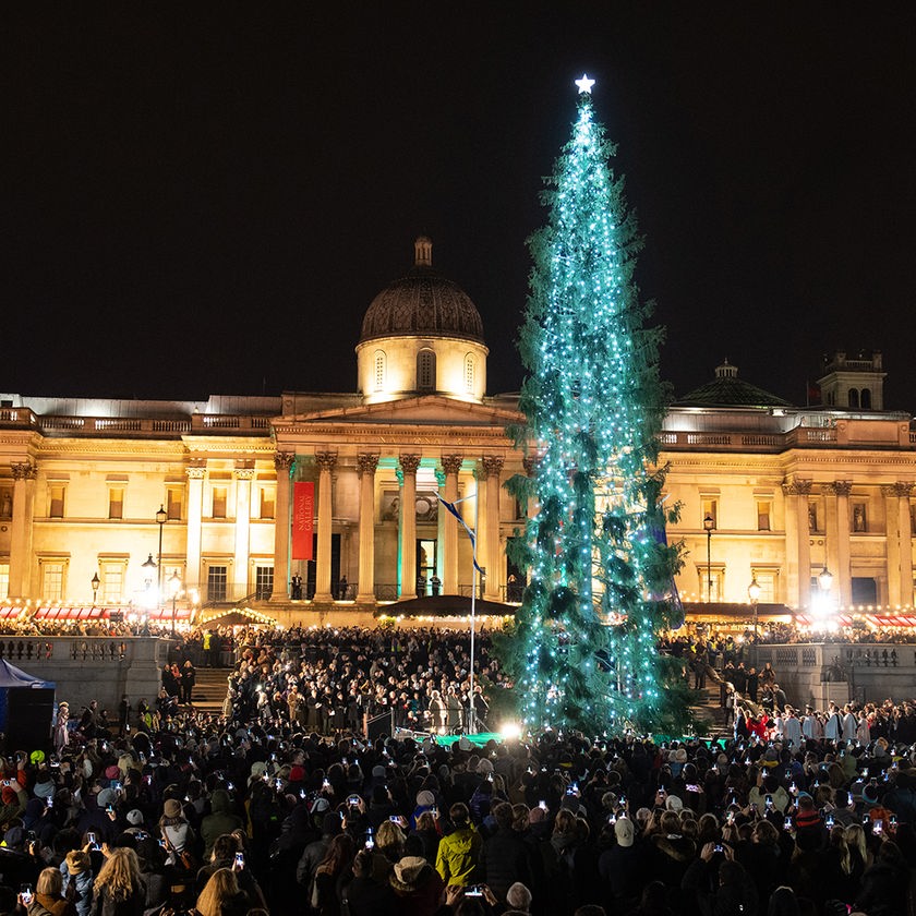 Weihnachtsbaum in London: Eine 20 Meter hohe und kahle Fichte |  tagesschau.de