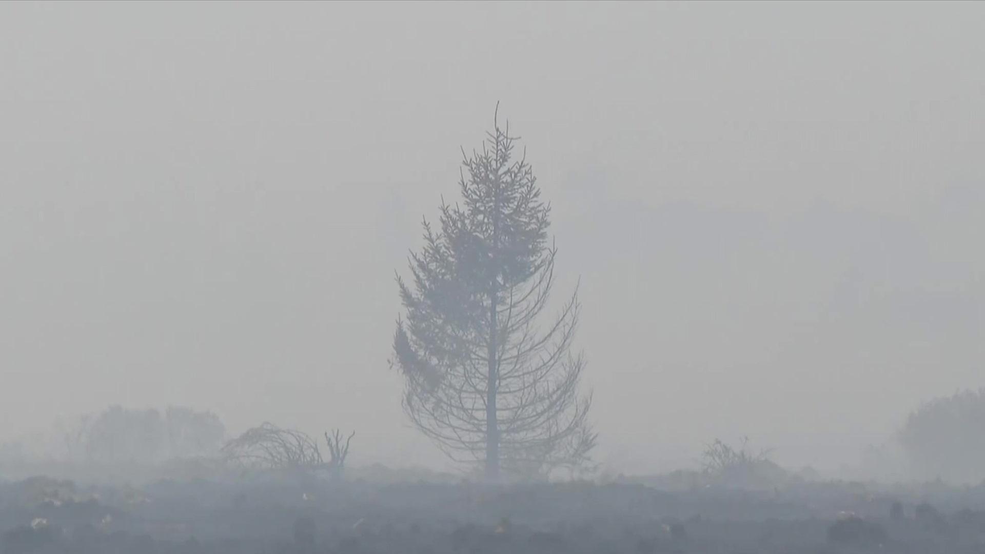 Situation in den Waldbrandgebieten Belgien und Kanada