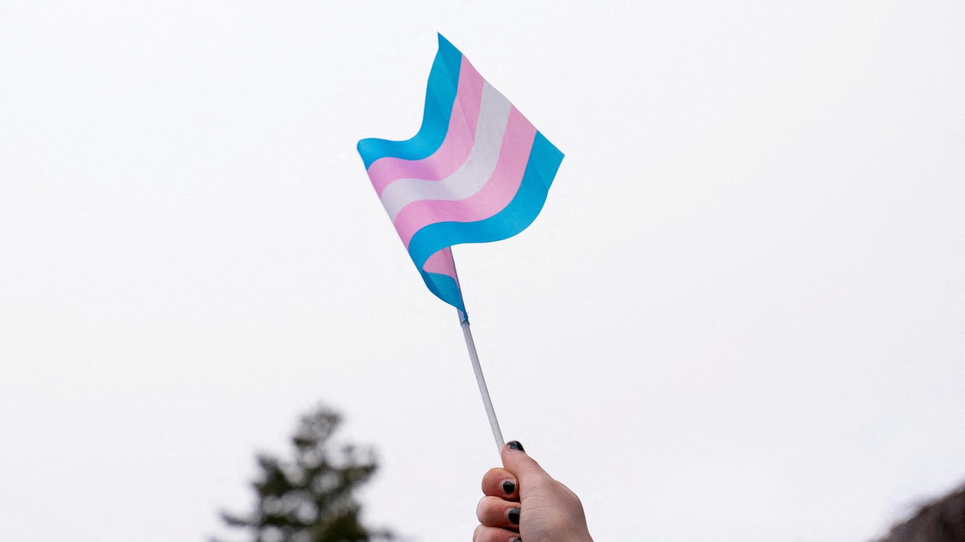 Ein Mensch hält eine Trans-Flagge | REUTERS