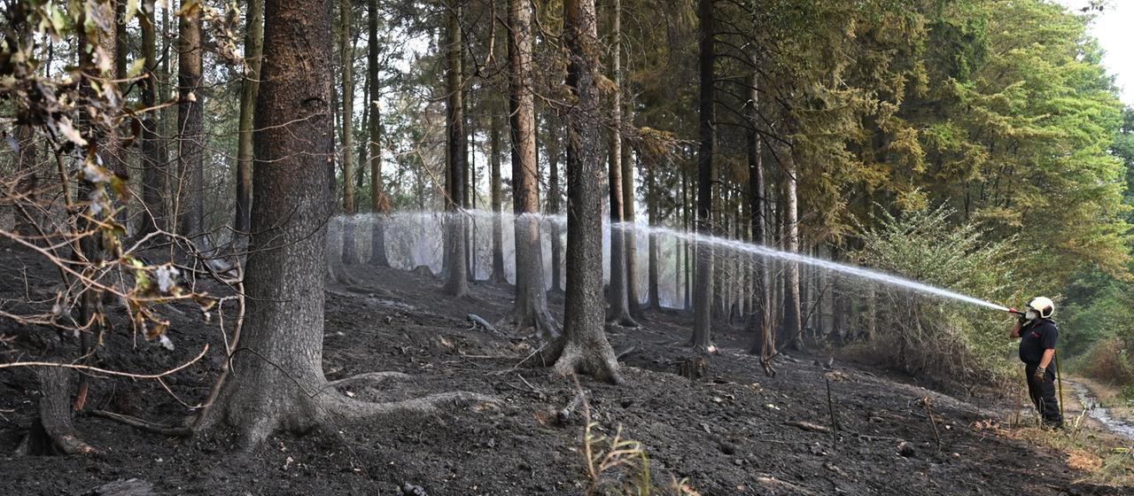 Ein Feuerwehrmann ist beim Waldbrand im Hürtgenwald im Einsatz