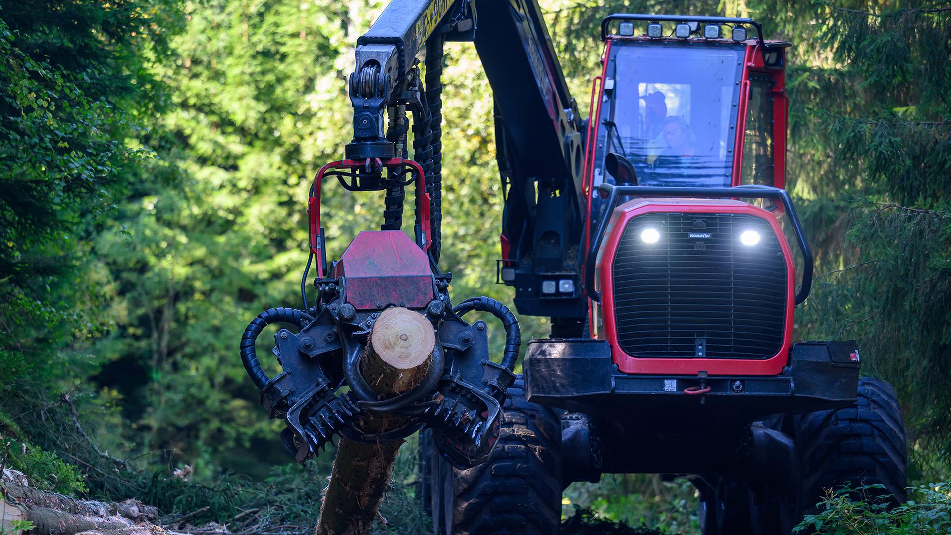 Ein Harvester bearbeitet einen Stamm. | picture alliance/dpa