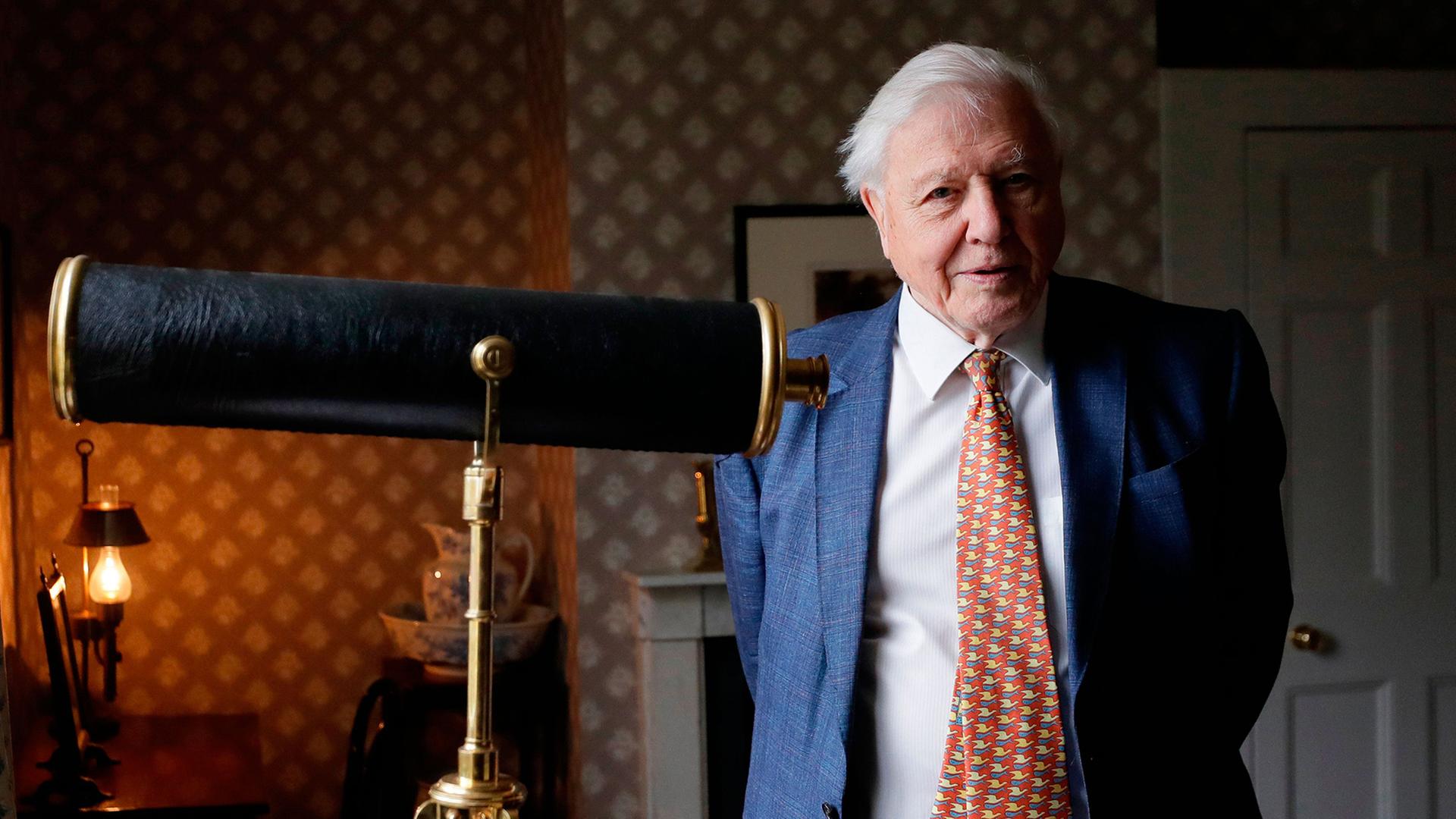 David Attenborough (Archivbild: 10.1.2020) | AP