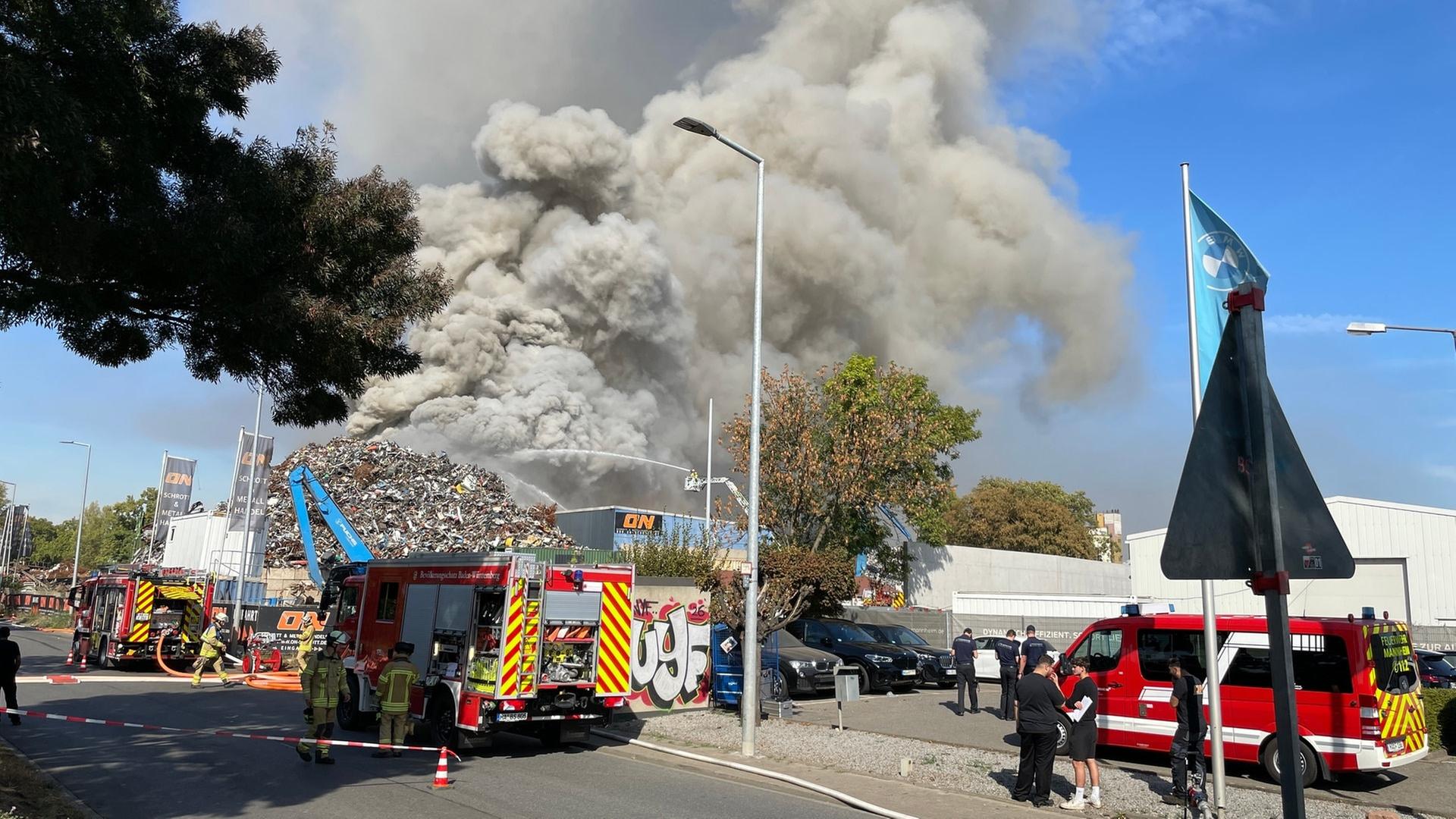 Brand auf Schrottplatz in Mannheim | SWR