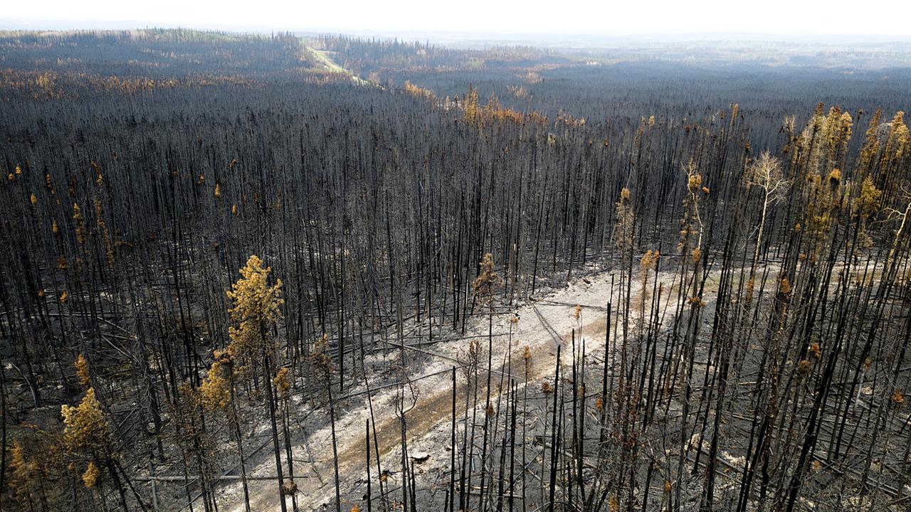 Wo Und Wie Lange Brennt Die älteste Glühbirne Der Welt Waldbrände in Kanada: "Schlimmer als unsere schlimmsten Befürchtungen