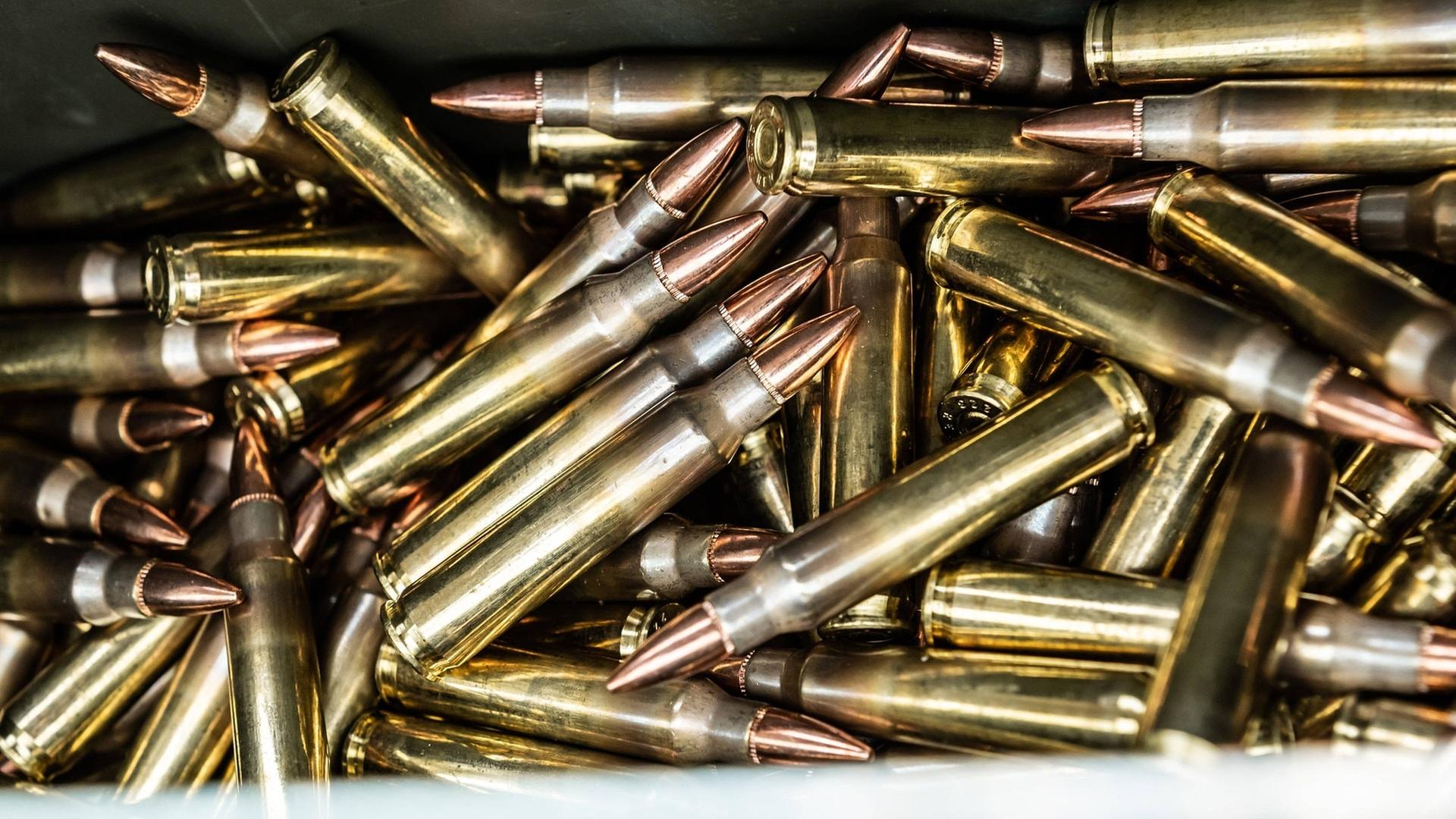 Patronen im Kaliber .223 Remington liegen in einer Munitionskiste. | IMAGO / Silas Stein
