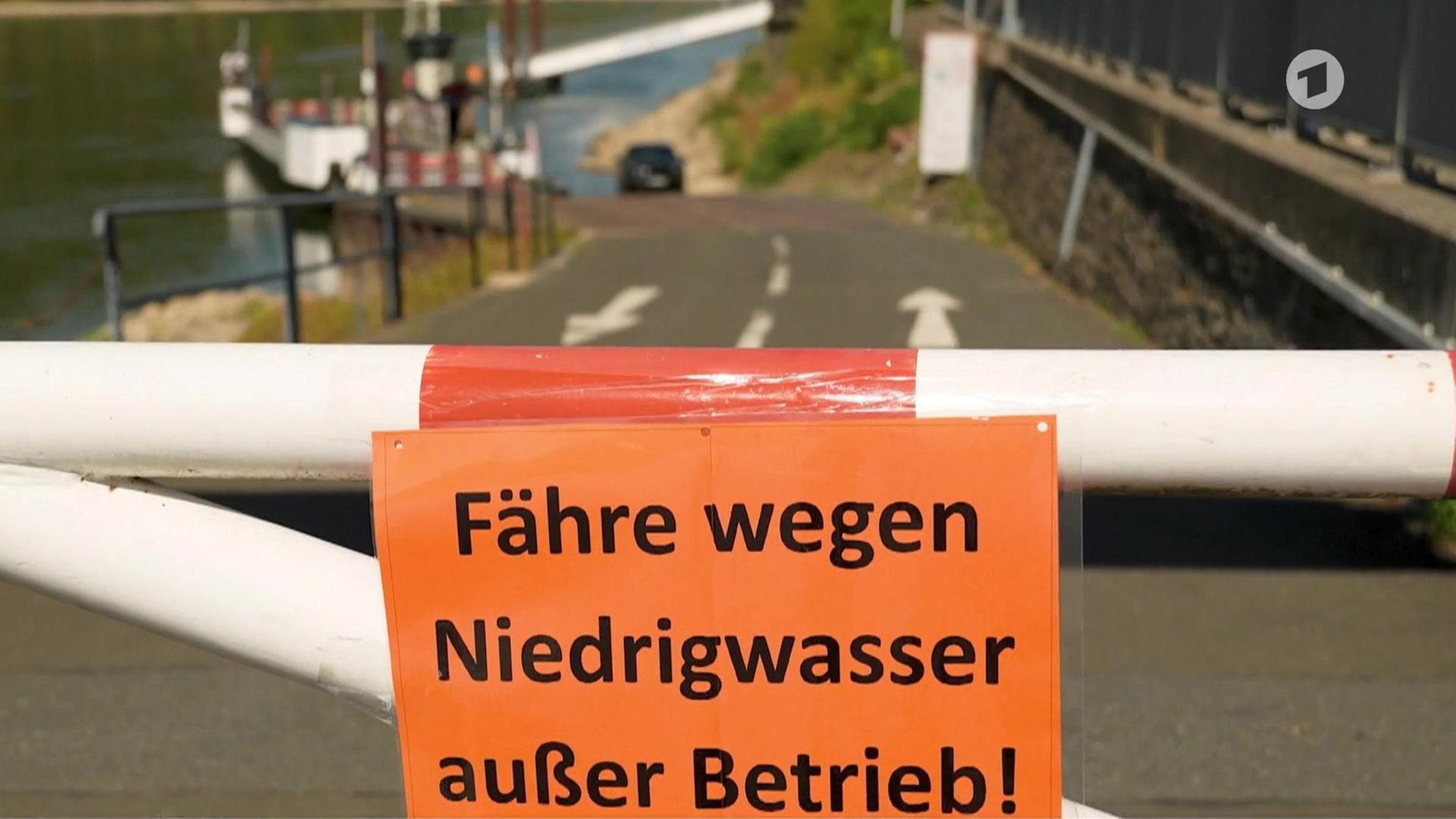 Wirtschaftlichen Folgen von Hitze und Trockenheit
