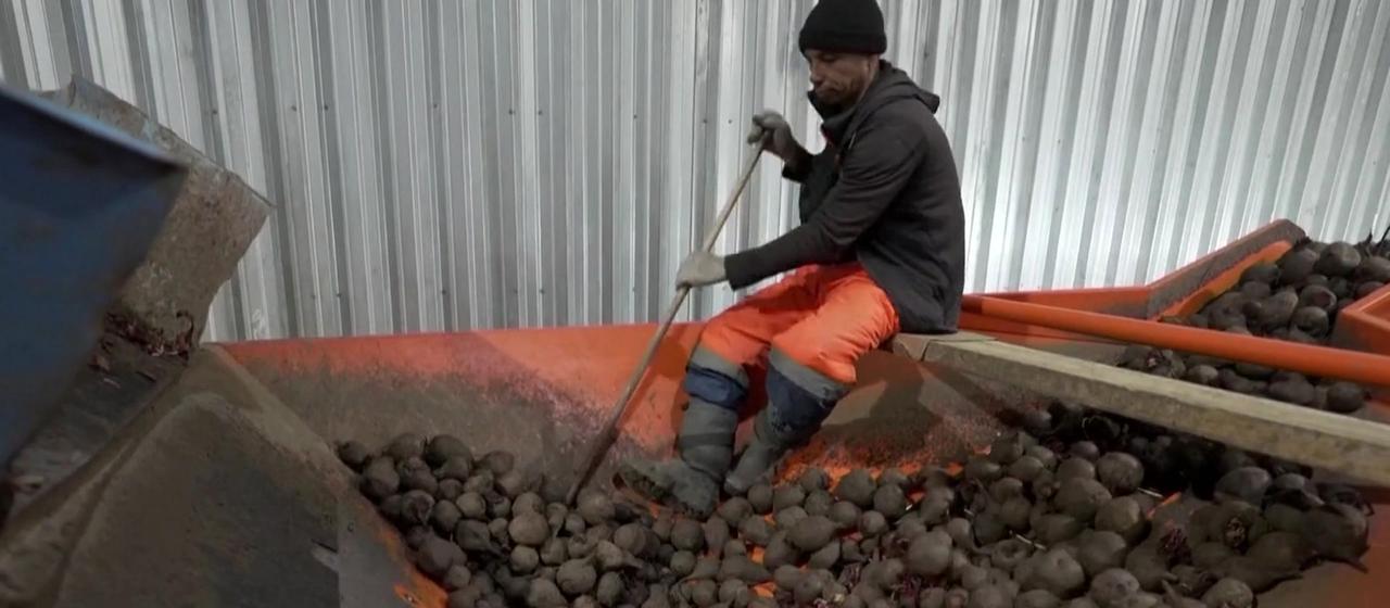 Indische Arbeitskraft 