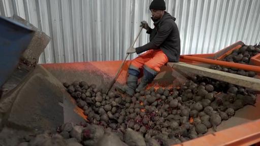 Indische Arbeitskräfte als Helfer in der Not