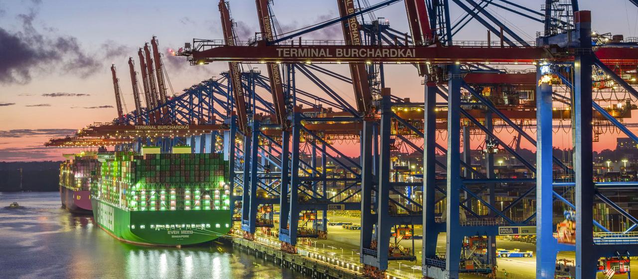 Containerschiffe am Terminal Burchardkai, Hafen Hamburg.