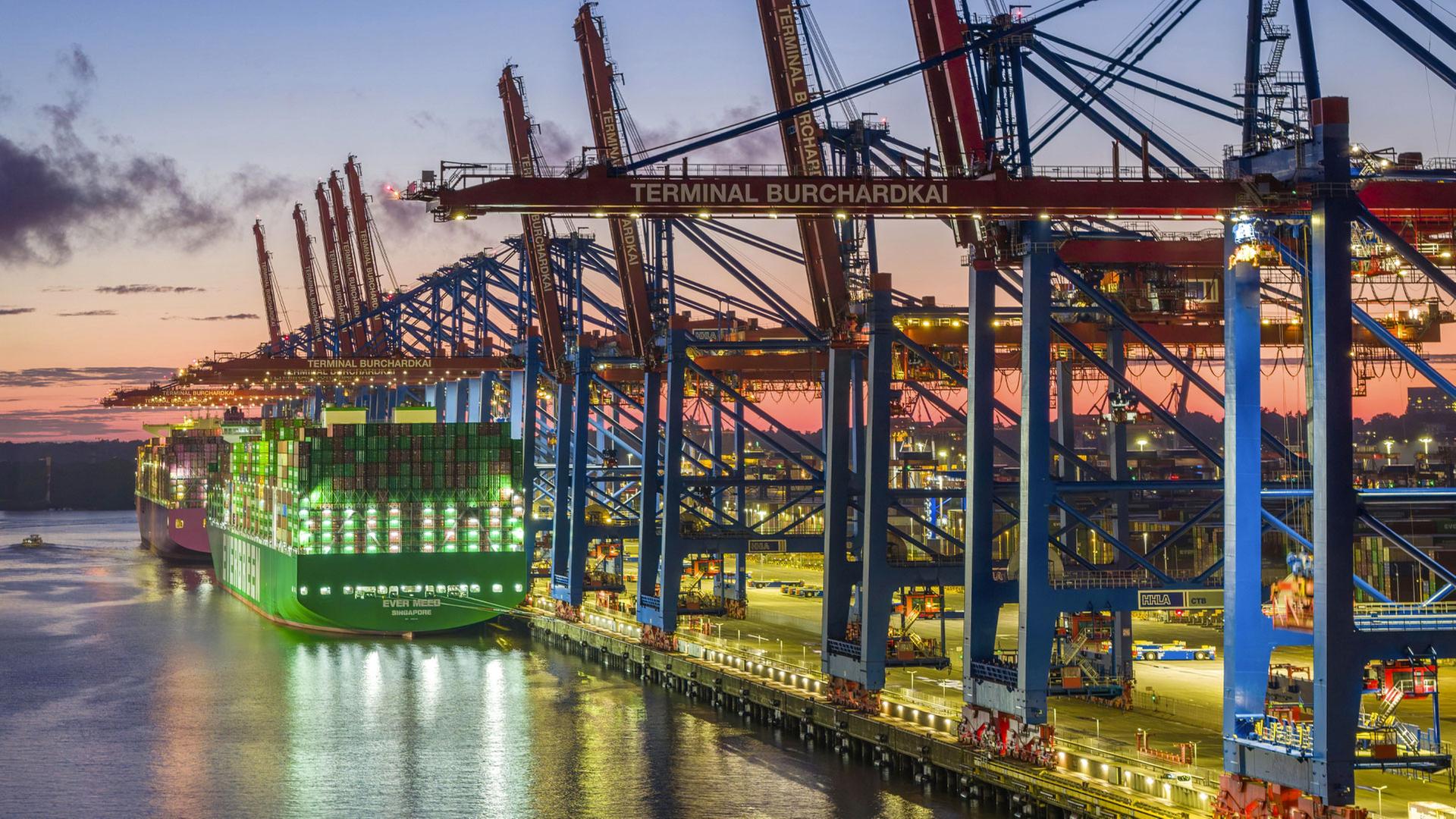 Containerschiffe am Terminal Burchardkai, Hafen Hamburg. | picture alliance / imageBROKER