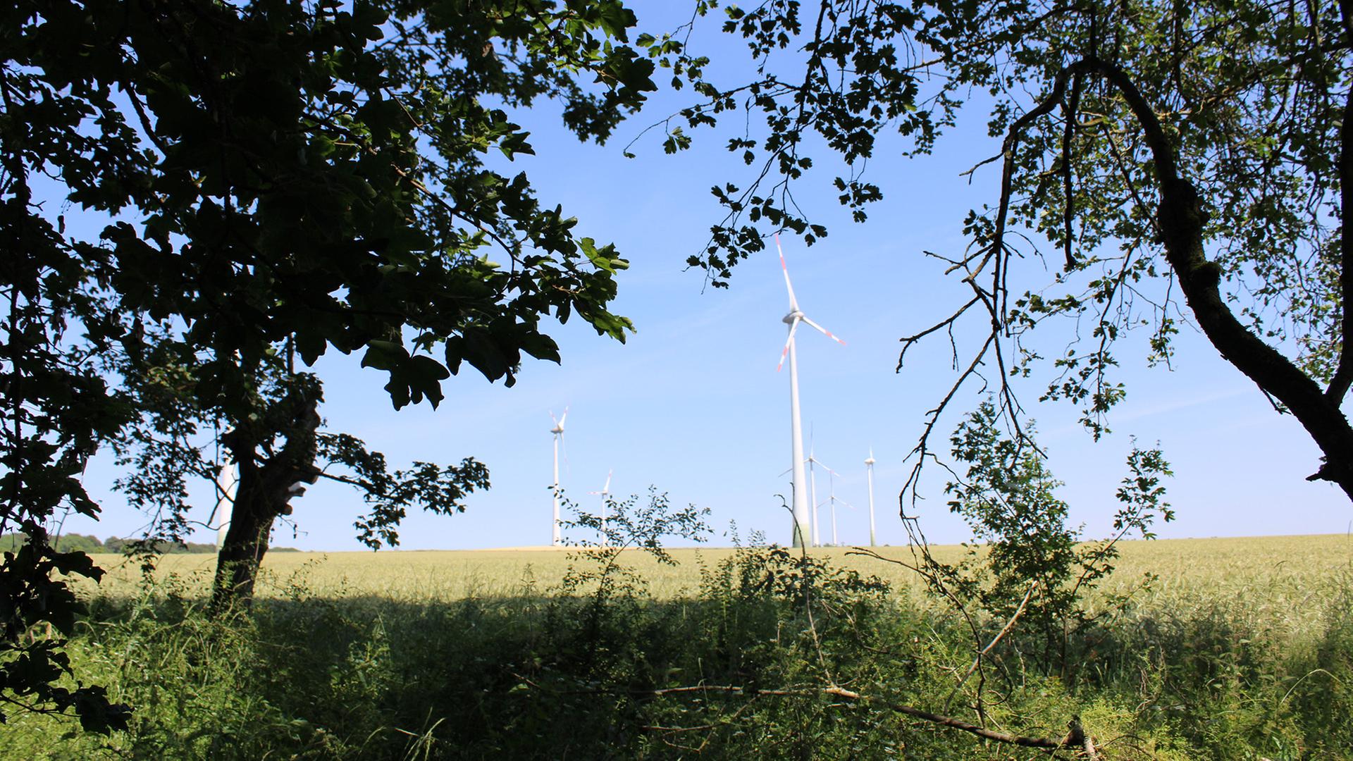 Mehrere Windräder stehen auf einem Feld. | MDR / Inka Zimmermann