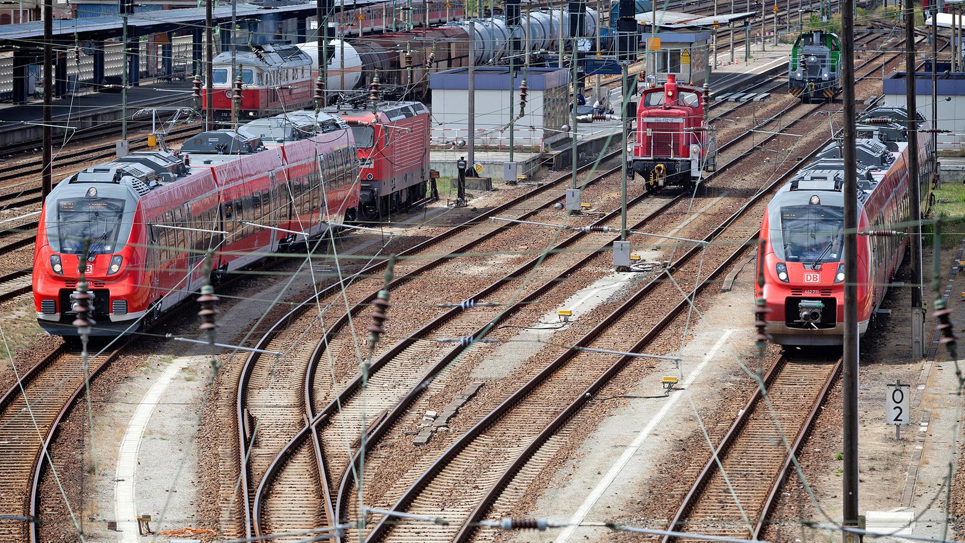 Gleisanlagen am Bahnhof Cottbus. (Quelle: Picture Alliance/Andreas Franke) | Picture Alliance/Andreas Franke