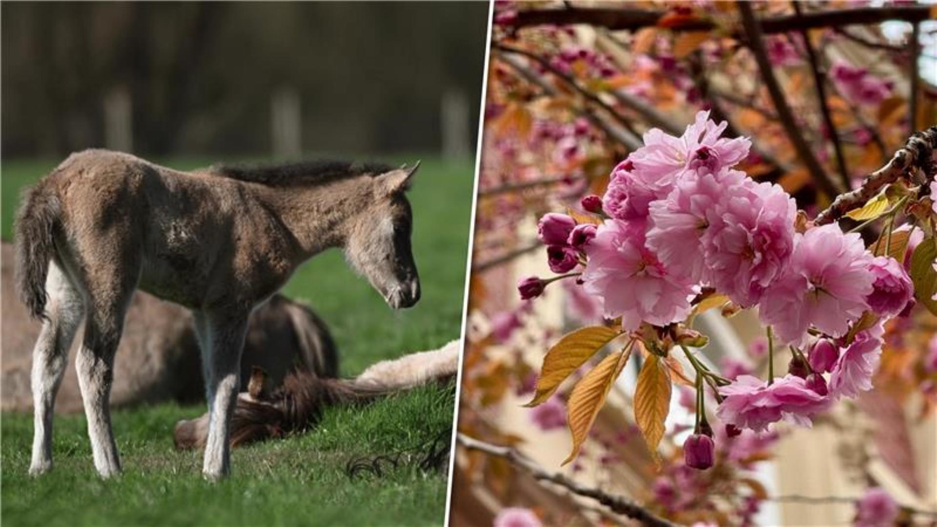 Nochmal raus und was erleben: Ausflugstipps am letzten Ferienwochenende