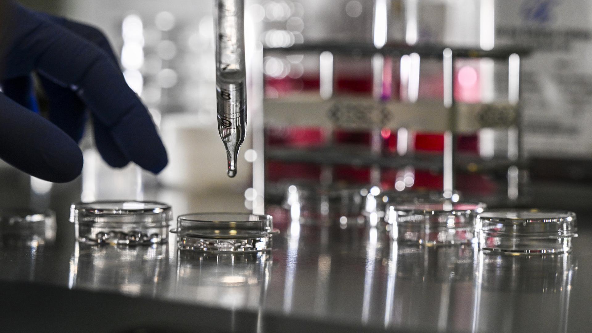 Stockholm-Deklaration: Vorgehen gegen Wissenschaftsbetrug Stockholm-Deklaration: Vorgehen gegen Wissenschaftsbetrug