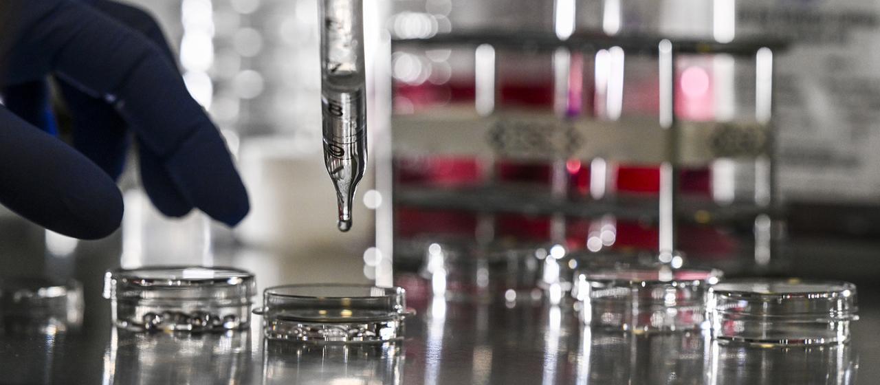 Eine Pipette in einem Labor