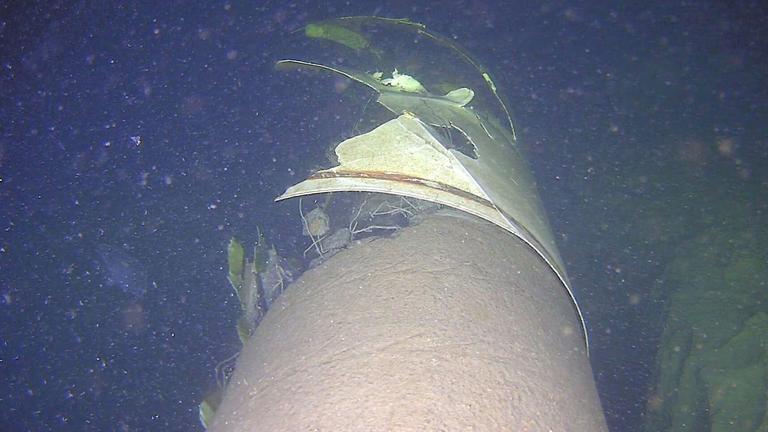 Die beschädigte Pipeline Balticconector im Meer.
