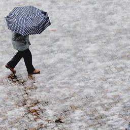 Archivbild: Eine Frau läuft am 14.01.2026 auf rutschigem Untergrund mit einem Regenschirm nahe des Humboldt-Forums in Berlin. (Quelle: Picture Alliance/Florian Gaertner)