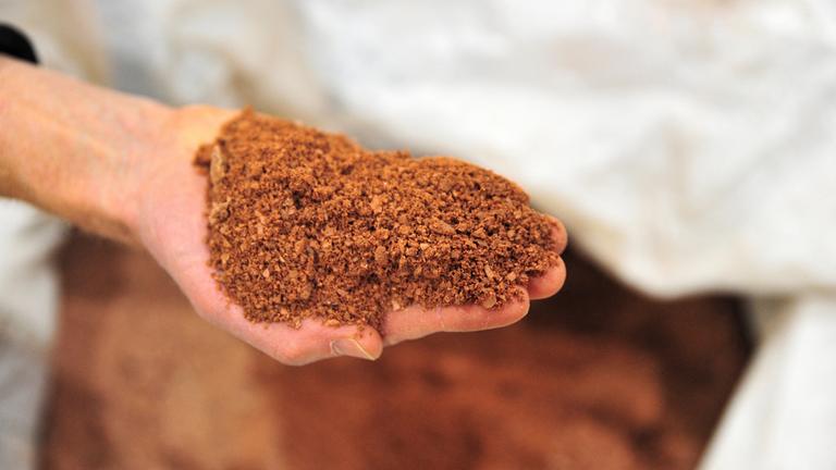 Auf einer Hand befindet sich seltene Erde, die anschließend verarbeitet wird.
