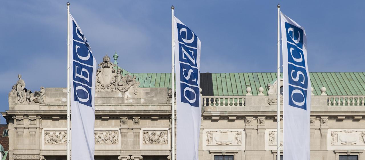 Die Flaggen der OSZE wehen vor der Wiener Hofburg.