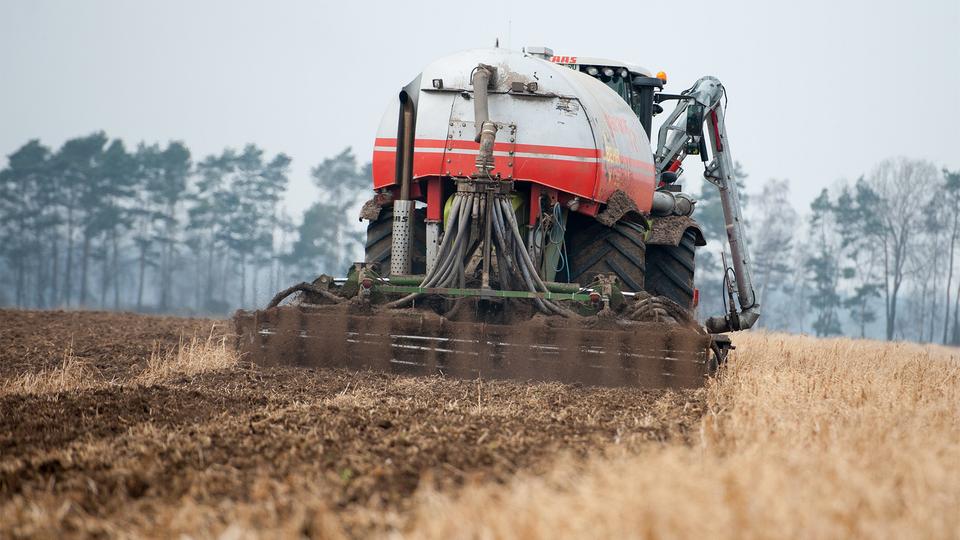 EU-Dngemittelverordnung: Es geht um die Glle | tagesschau.de