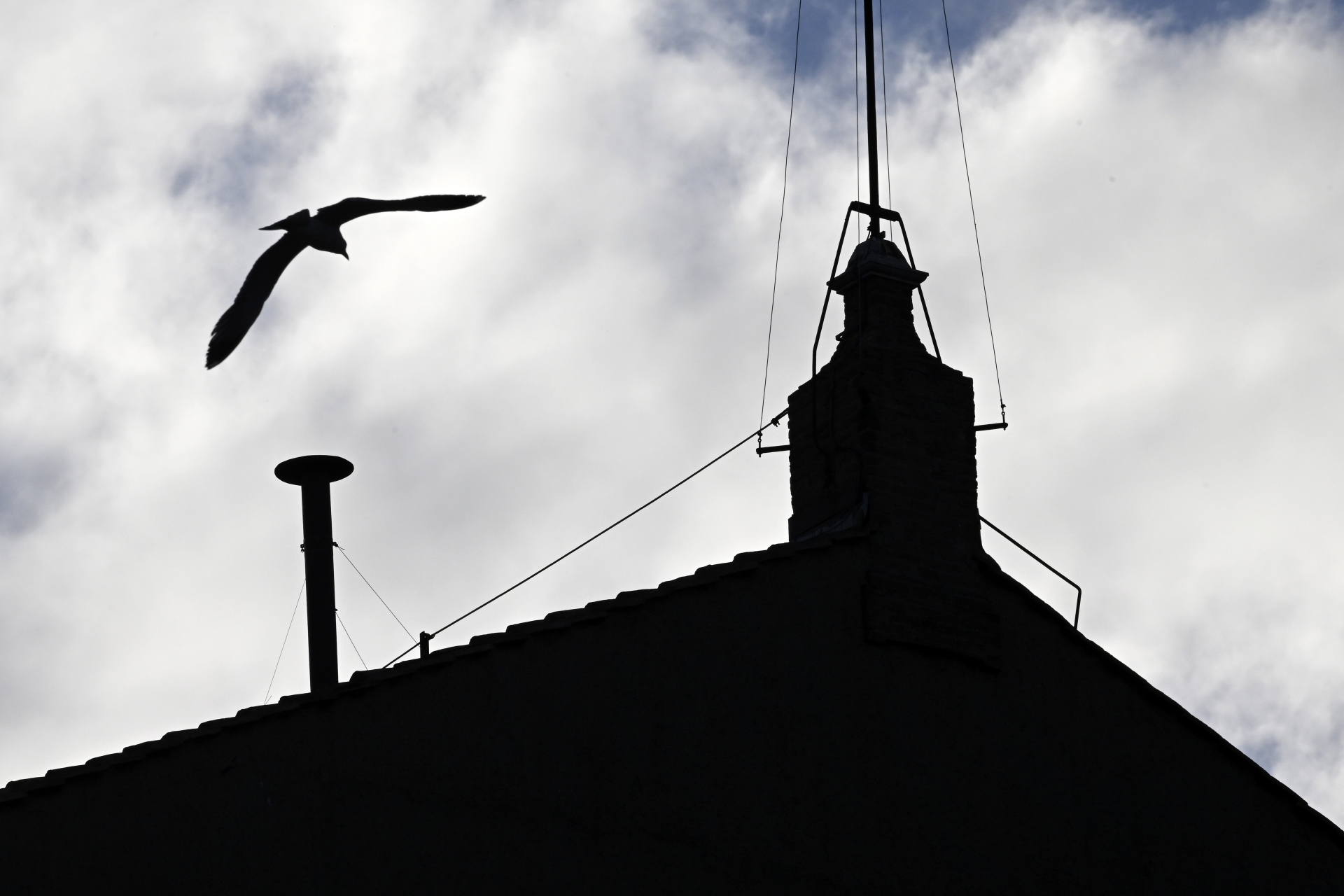 Eine Möwe fliegt über den Schornstein auf dem Dach der Sixtinischen Kapelle 