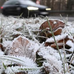 Blätter und Grashalme am Straßenrand sind bei Minustemperaturen: Bekommen wir Schnee an Silvester?
