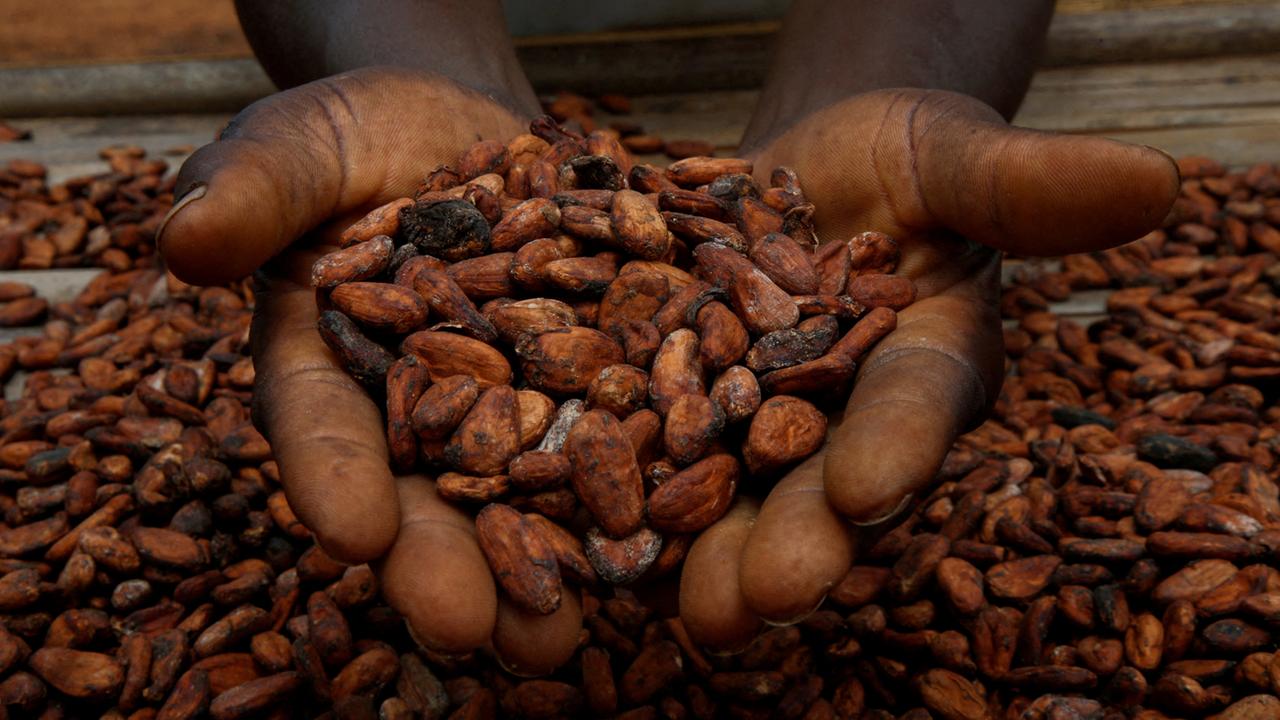 Ausbeutung auf Kakaoplantagen: Schokolade aus Kinderarbeit | tagesschau.de Ausbeutung auf Kakaoplantagen: Schokolade aus Kinderarbeit | tagesschau.de