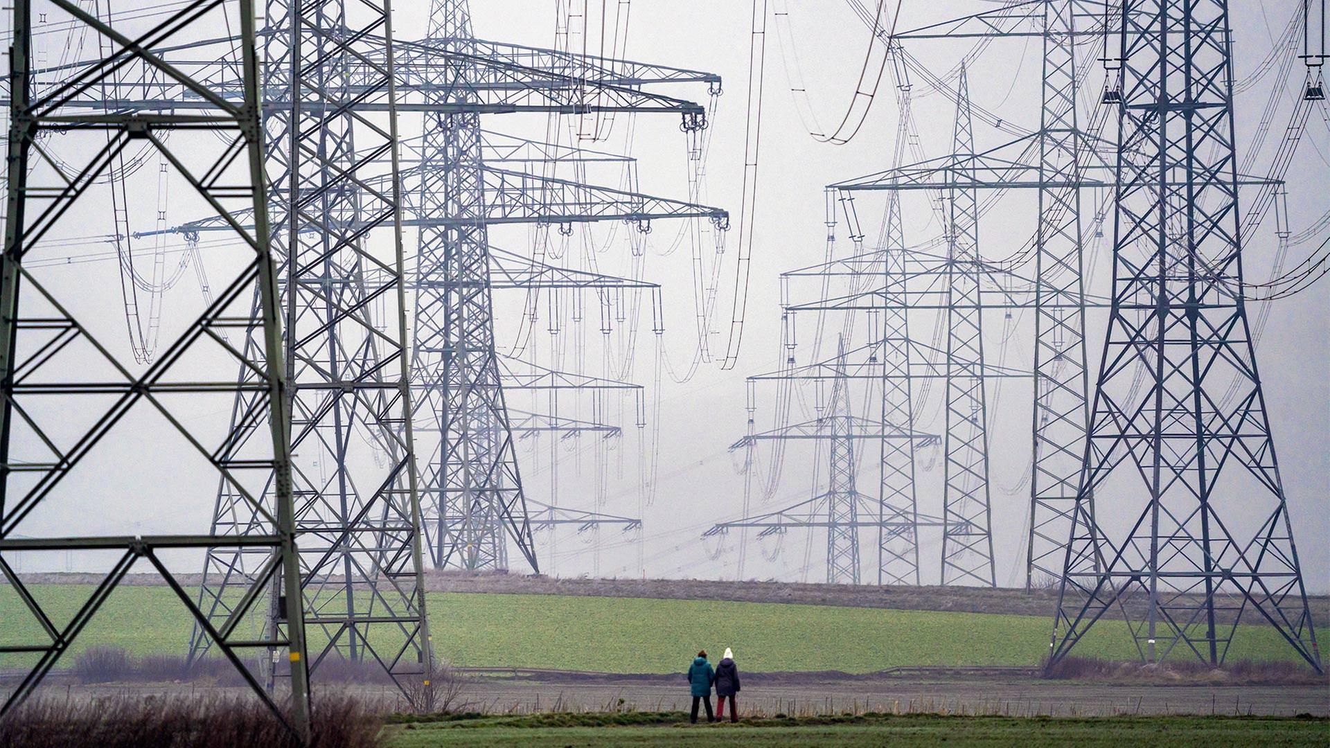 Große Stromtrasse mit Höchstspannungsleitungen, bei Rommerskirchen. | picture alliance / Jochen Tack