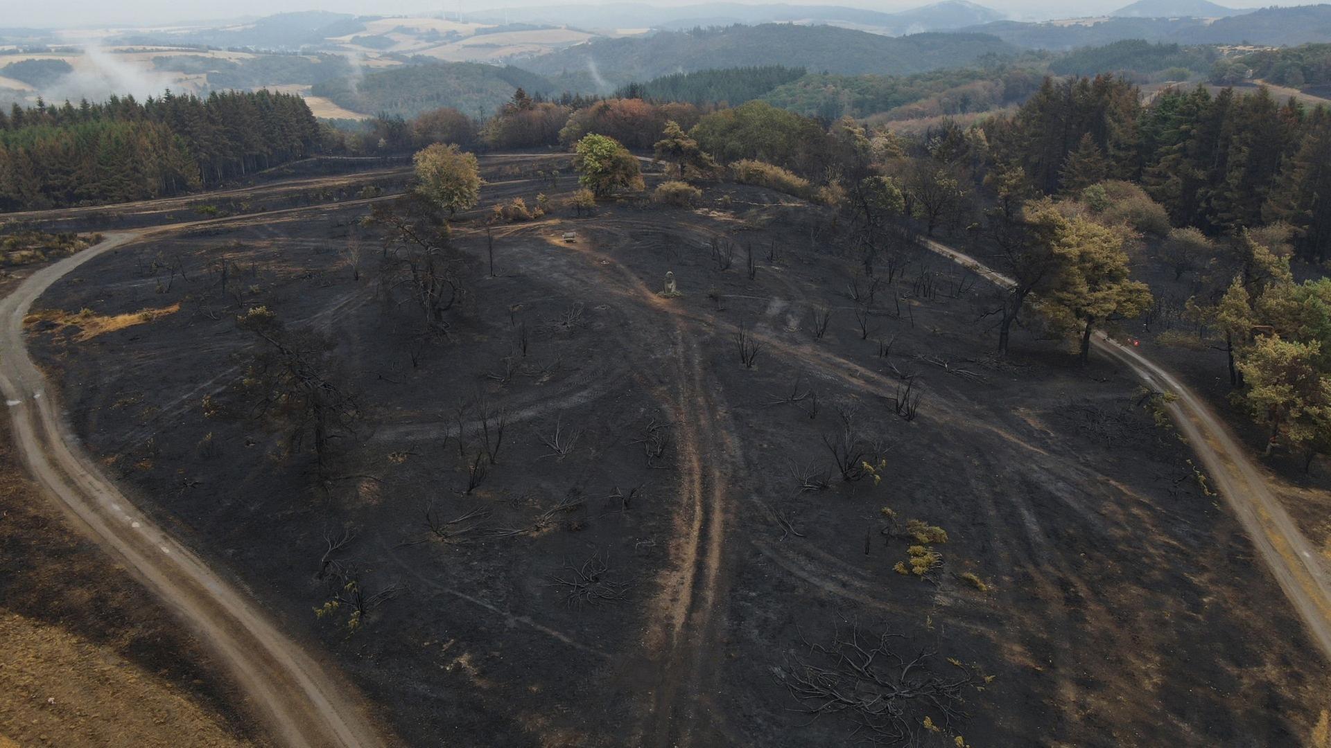 Nachlöscharbeiten nach Waldbrand bei Langscheid werden Tage dauern