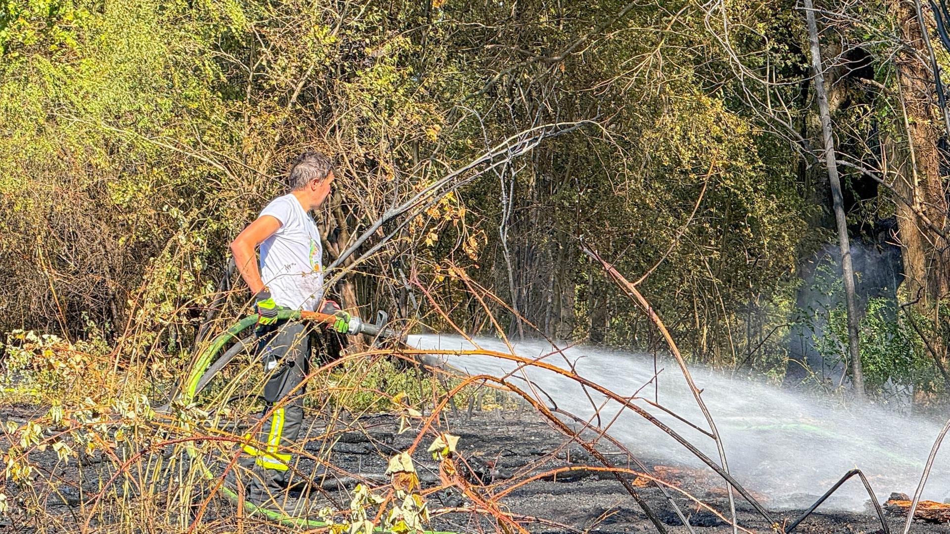 Einsatzkräfte kämpfen gegen Wald- und Flächenbrände, Regen am Wochenende, Hohe Besucherzahlen in Freibädern