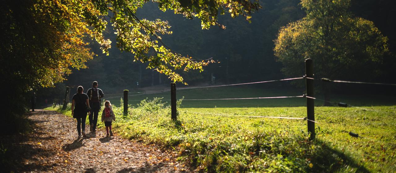 Spaziergänger mit Herbstlaub